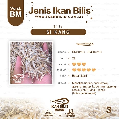 Ikan Bilis Langkawi Malaysia Anchovies Online Store