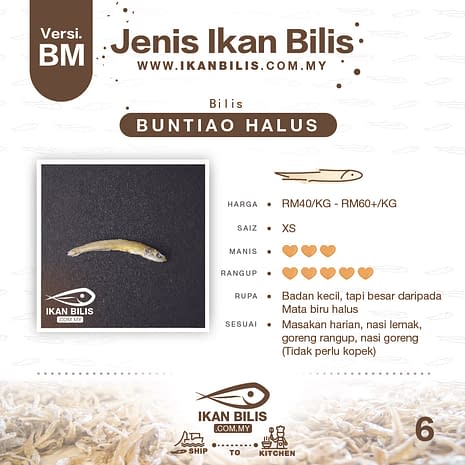 Ikan Bilis Langkawi Malaysia Anchovies Online Store
